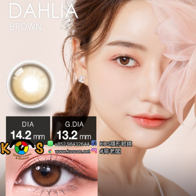 [1Month]Olola Dahlia Brown 달리아 브라운